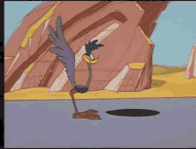 Bu Road Runner kadar pislik bir kuş daha var mıdır ya😡😡😡 ?
