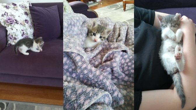 Bu bücürün adı ne olsun?