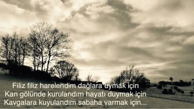 Doruklara sevdalandım?