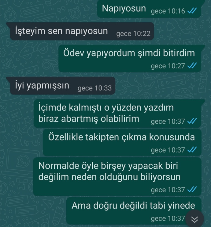 Kafasında bitirmiş erkek profili bu mudur?