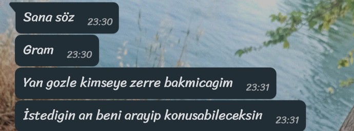 Sevgilim otelde garson olarak işe başlayacak, gönlüm razı değil. Siz olsanız ne yapardınız?