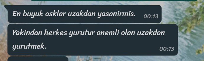 Sevgilim otelde garson olarak işe başlayacak, gönlüm razı değil. Siz olsanız ne yapardınız?