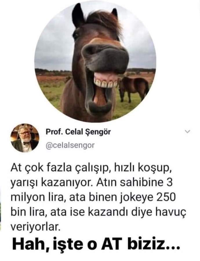 AKP Milletvekili Hülya Nergis'in gelişmiş Türkiye yorumu: 'Ev ve araba almak artık hiç zor değil.' Sizce bu kadar kolay mı?