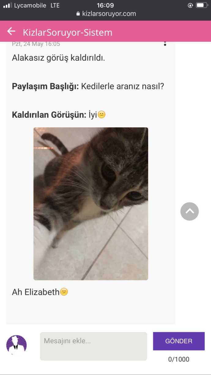 Kedilerle aranız nasıl?