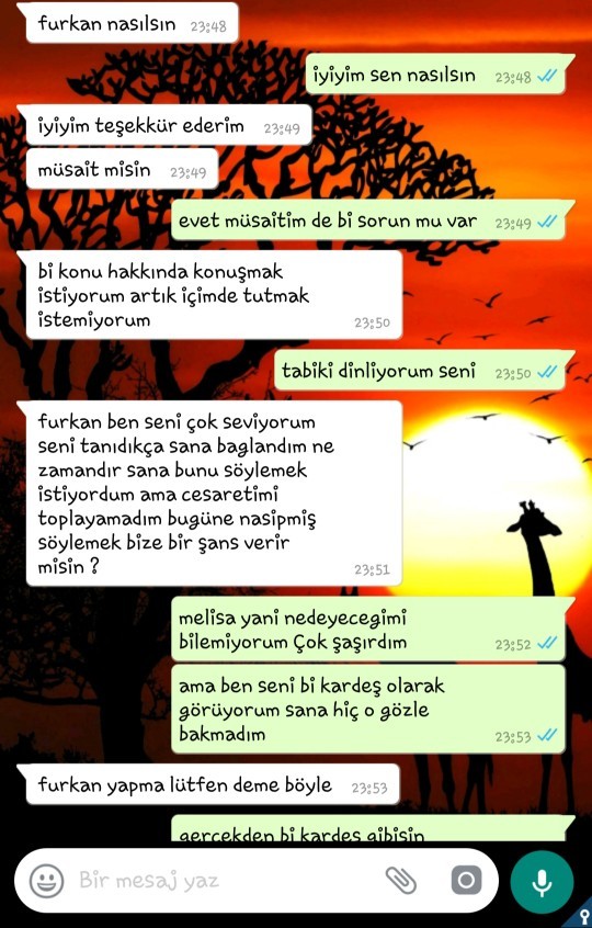 Çok değer verdigim kardeş gibi gördügüm kız arkadaşım beni sevdigini söyledi ama çok üzdüm kızı mesajlar detayda yardım edin?