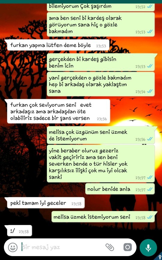 Çok değer verdigim kardeş gibi gördügüm kız arkadaşım beni sevdigini söyledi ama çok üzdüm kızı mesajlar detayda yardım edin?
