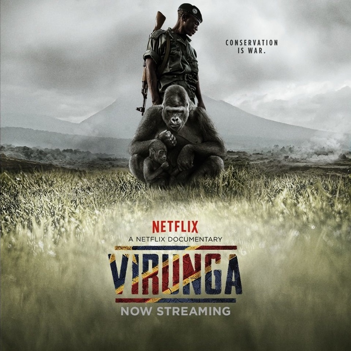 Mükemmel diyebileceğiniz birkaç film önerisi verebilir misiniz?