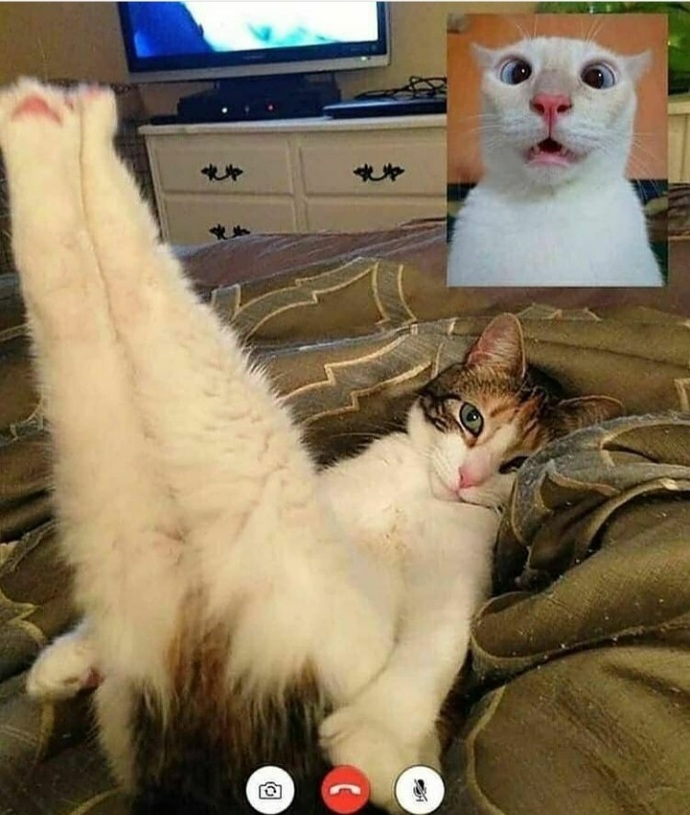 Hic telde ya da cam acip goruntulu seks yaptiniz mi?