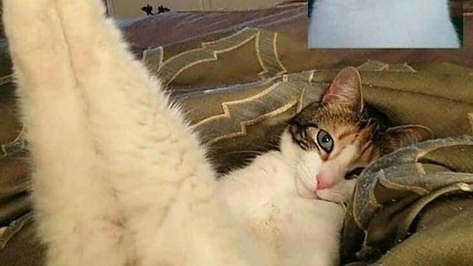 Hic telde ya da cam acip goruntulu seks yaptiniz mi?