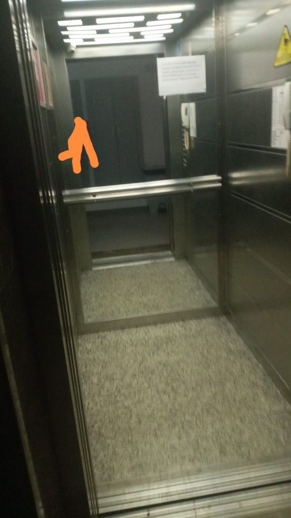 Bu asansöre CBR125 ya da 250 sığar mı?