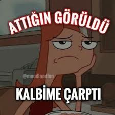 Mesajlarınıza görüldü atan insana ikinci mesajı atar mısınız?
