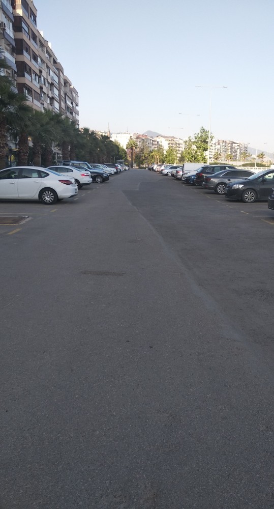 Kimler benim gibi sabah yürüyüşüne çıktı?