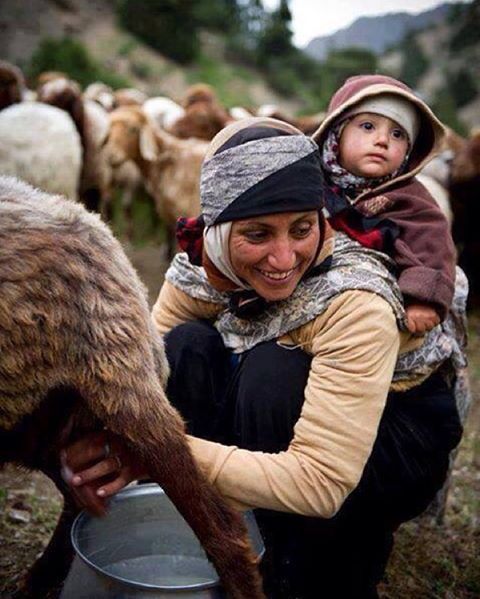 En cool anneyi seçiyoruz! Dünyaca ünlü bu annelerden hangisi tarz?