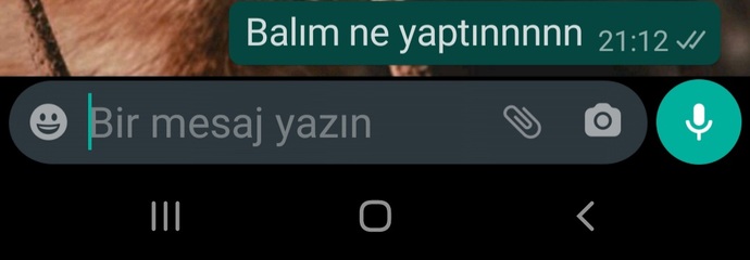Günaydın yazmalı miyim. Sizce güzel de gidiyordu her şey?