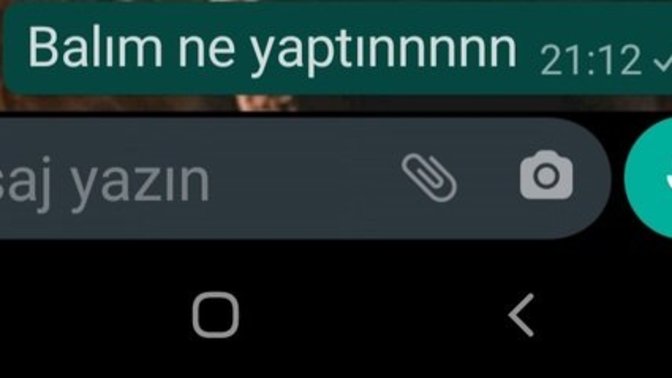 Günaydın yazmalı miyim. Sizce güzel de gidiyordu her şey?