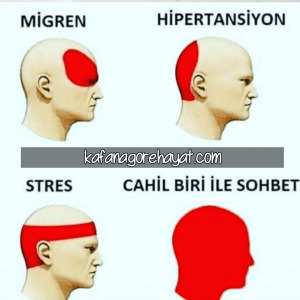 Cahil insanların özellikleri nelerdir? bir insanın cahil olduğunu nasıl anlarsınız?
