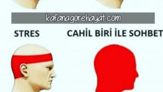 Cahil insanların özellikleri nelerdir? bir insanın cahil olduğunu nasıl anlarsınız?