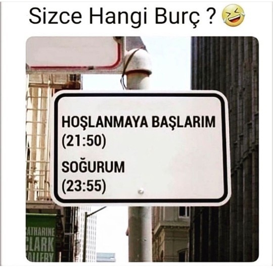 Sizce bu burç, hangi burçtur?