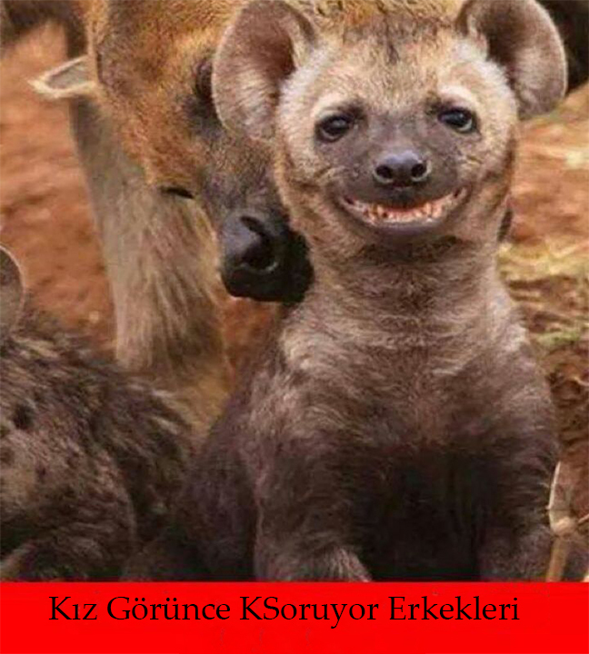 Sizce erkekler taciz mesajları atarken gerçekten işe yaramasını mı bekliyor yoksa sadece rahatsız mı etmek istiyorlar?