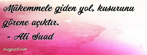 Sizin en büyük kusurunuz nedir?