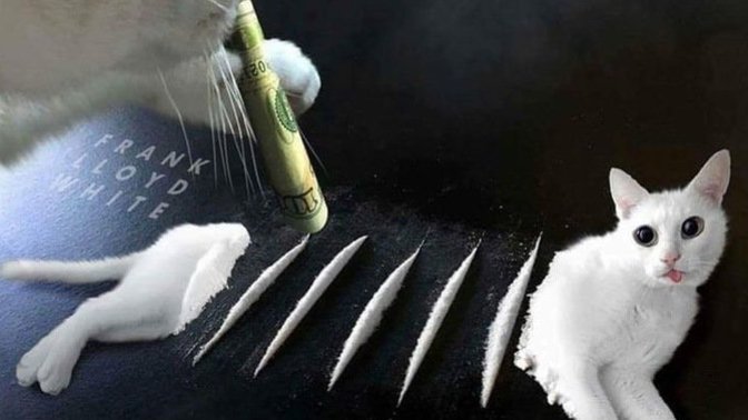 Çöpçü müsünüz değil misiniz?