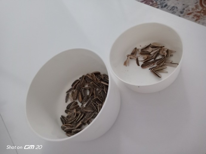 Yavru kediler için besleyici mamalar ya da evde yapılabilecek ne tür yiyecekler önerirsiniz?