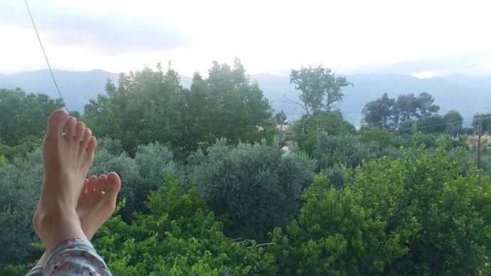 Şu an ki manzaranızın fotosunu atarmısınız?