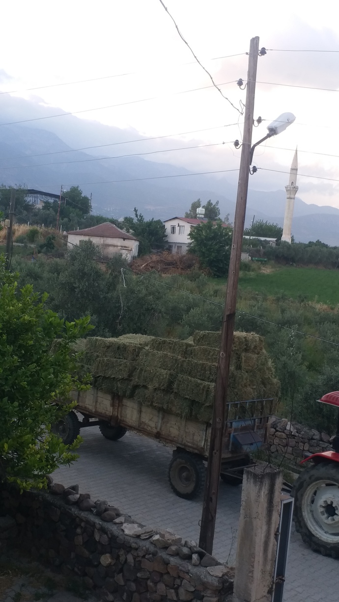 Şu an ki manzaranızın fotosunu atarmısınız?
