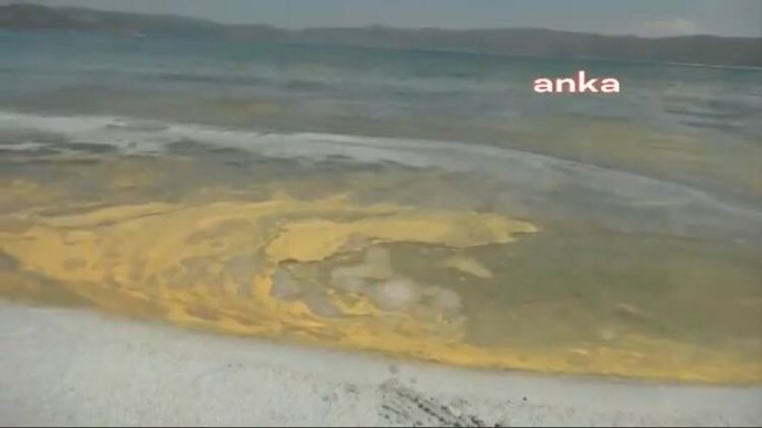 Herkese düşman doğaya düşman insana düşman bu kimdir?