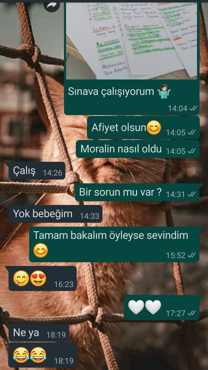 Bir şey yazmadım sizce Günaydın yazmali miyim?