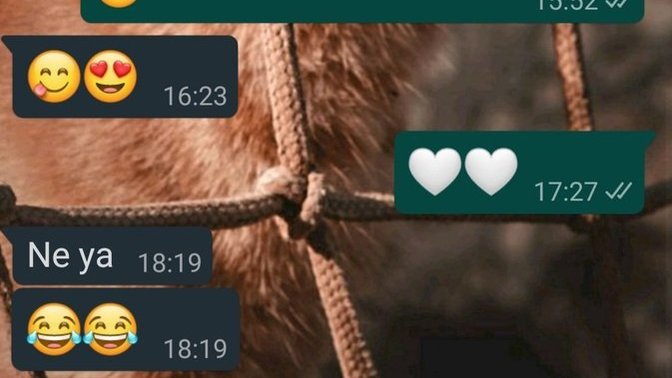 Bir şey yazmadım sizce Günaydın yazmali miyim?