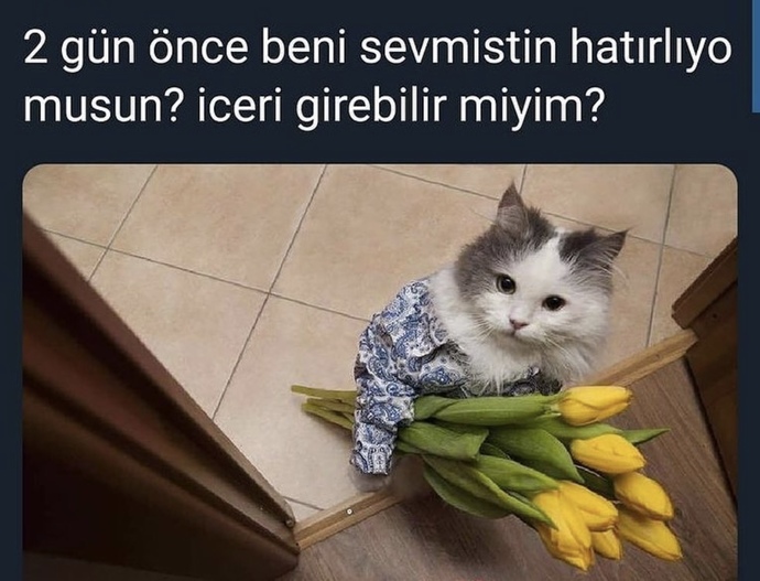 Bu şey değil mii 🤪