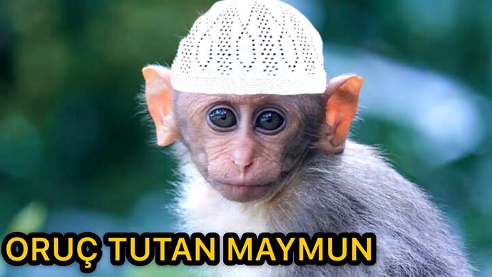 Atalarımız bunlar şimdi ikna oldum.