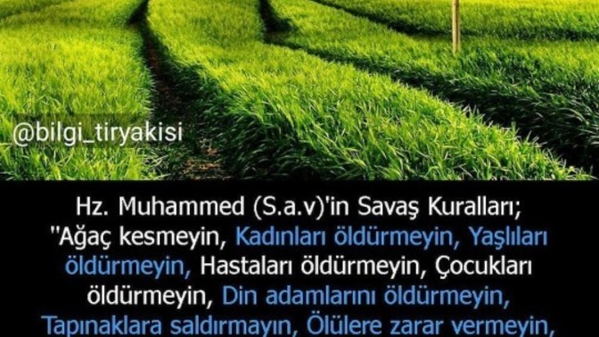 Böyle peygamberimiz olduğu için şanslı değil miyiz?