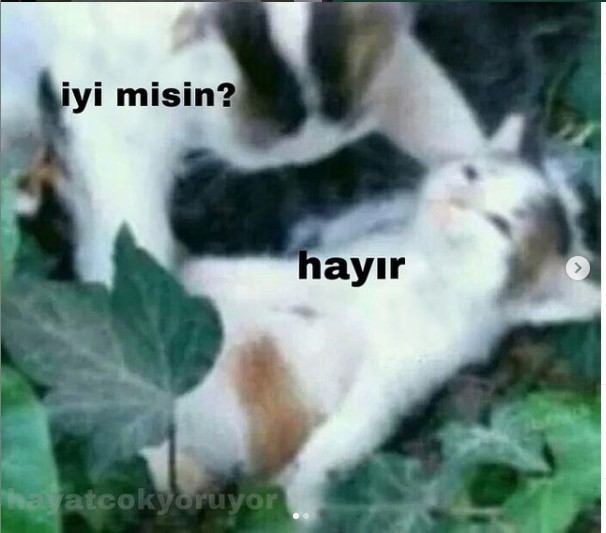 Ölü bir bedenden nasıl kurtulurum?