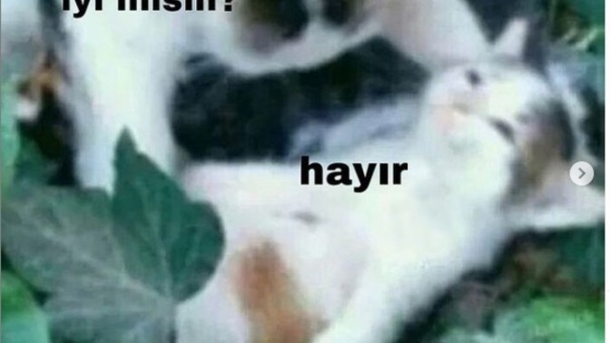 Ölü bir bedenden nasıl kurtulurum?