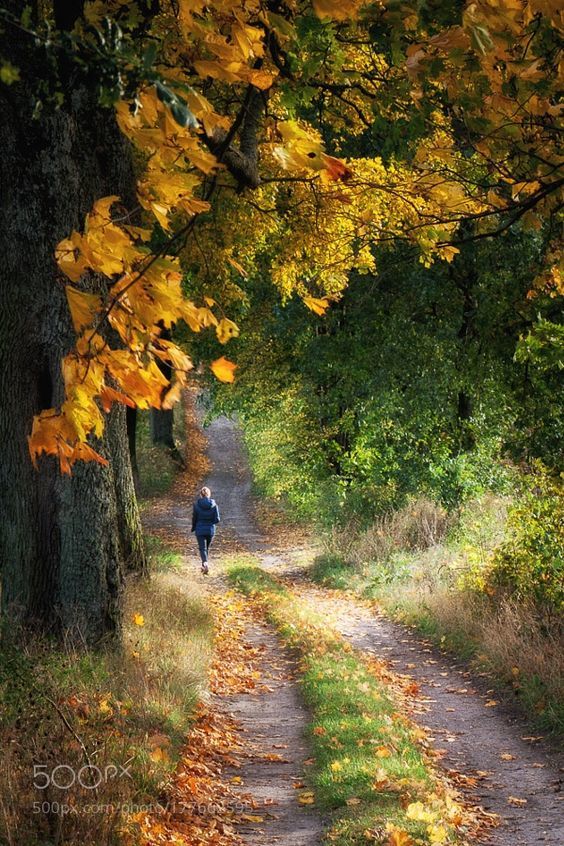 Bir yol bulsan ve gitsen uzaklara hayatında neyi değiştirirsin?