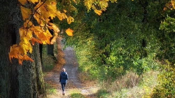 Bir yol bulsan ve gitsen uzaklara hayatında neyi değiştirirsin?
