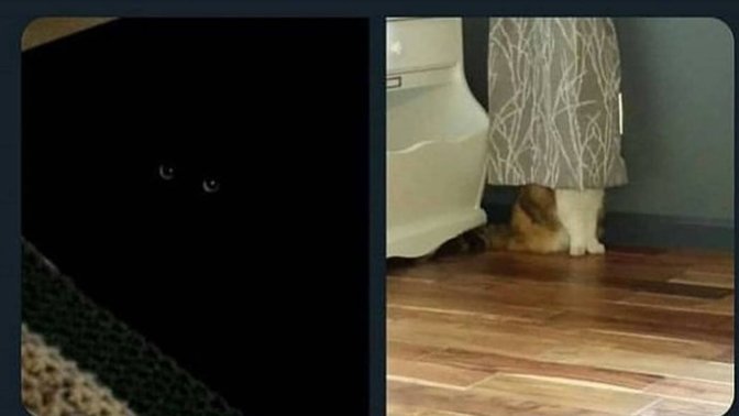 Erkekler, kadınlar kadar iyi stalk yapabilir mi?