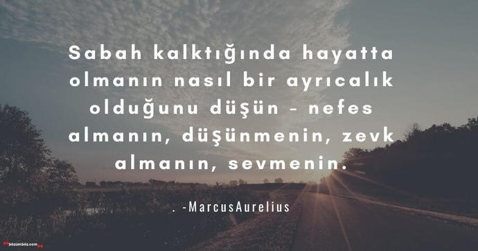 Sevdiğin bir filozofun/bilim adamının , güzel bir sözünü paylaşır mısın?