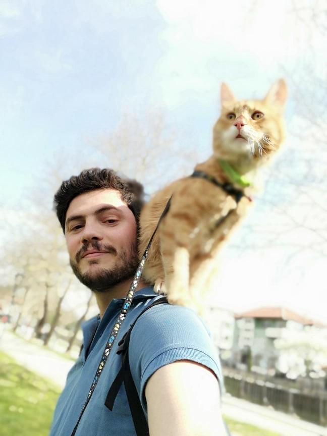 Kedileri sevdiğim kadar seveceğim bir beyefendiyi nasıl bulabilirim?