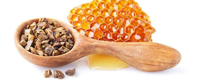 Bi'Bilen Aslı Elif Tanuğur Samancı'nın ginseng propolis vitamin setini kazanmak ister misin KScan 🐝?