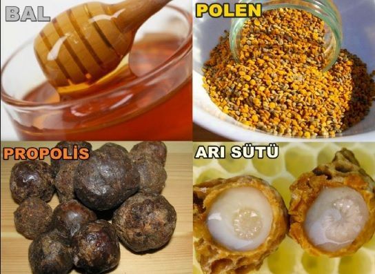 Bi'Bilen Aslı Elif Tanuğur Samancı'nın ginseng propolis vitamin setini kazanmak ister misin KScan 🐝?