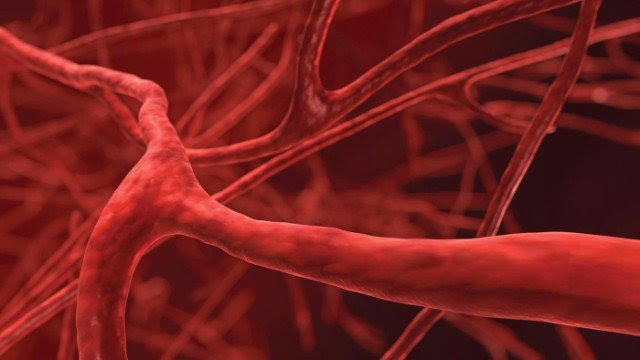 Bi'Bilen Aslı Elif Tanuğur Samancı'nın ginseng propolis vitamin setini kazanmak ister misin KScan 🐝?