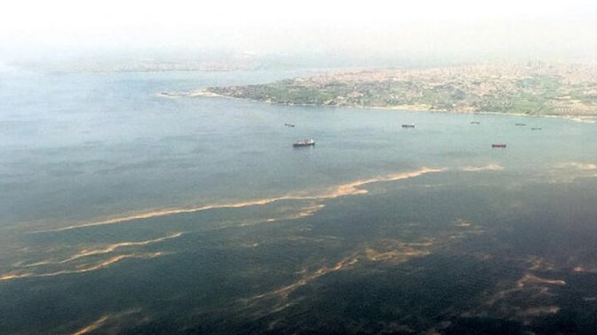 Deniz Salyası Yüzünden Marmaraya Türkler Neden Sahip Çıkamıyor?
