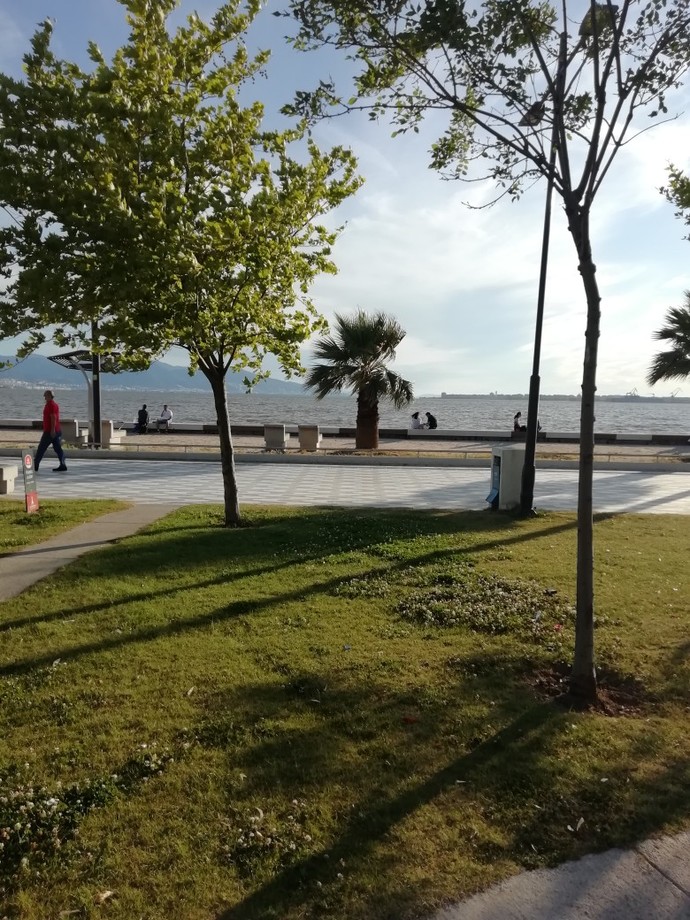 Denizi mi yoksa yeşili mi seversiniz?