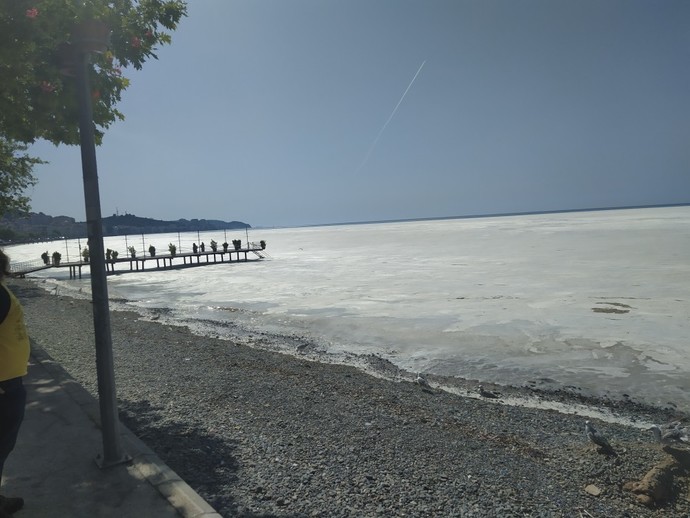 Marmara denizinin sonu mu geldi?