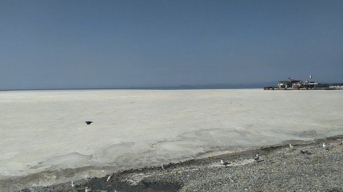 Marmara denizinin sonu mu geldi?