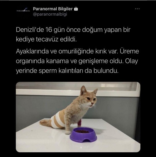 Dünyanın çivisi çıkmış artık?