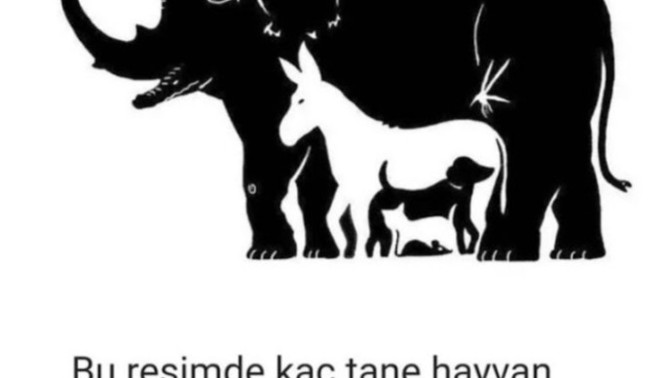 Resimde kaç hayvan var sizce?
